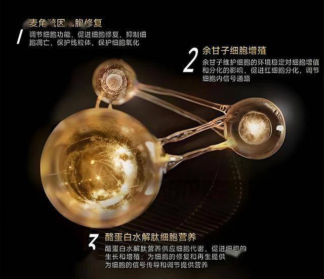 揭开xm外汇平台的真实面纱，教你识别信任与风险的关键！